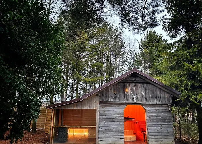 Tatil Evi Cozywood Wypoczynkowe Z Balia I Sauna Na Kaszubach *