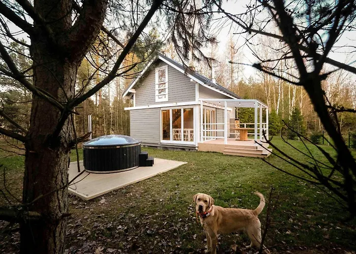 Cozywood Wypoczynkowe Z Balia I Sauna Na Kaszubach Tatil Evi Pomlewo